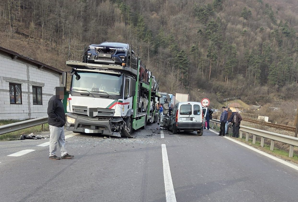 accident Câineni